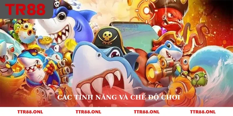 Các tính năng và chế độ chơi